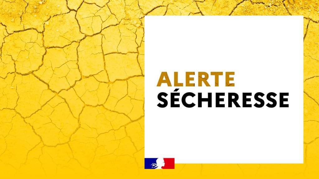 You are currently viewing Sécheresse en Sarthe – Situation des zones d’alerte au 31 juillet 2022