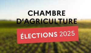 Élection des membres de la chambre d’agriculture de la Sarthe 2025