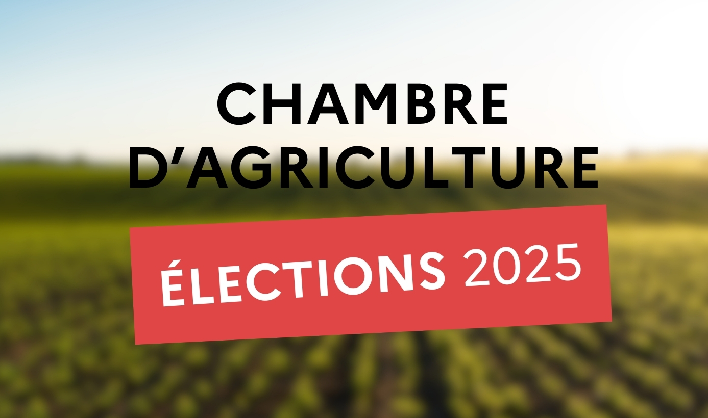 You are currently viewing Élection des membres de la chambre d’agriculture de la Sarthe 2025